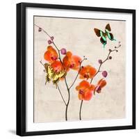 Orchids & Butterflies I-Teo Rizzardi-Framed Art Print