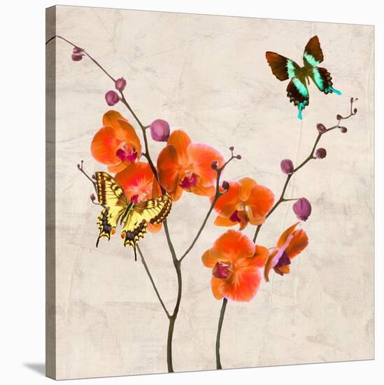 Orchids & Butterflies I-Teo Rizzardi-Stretched Canvas