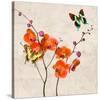 Orchids & Butterflies I-Teo Rizzardi-Stretched Canvas