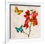 Orchids & Butterflies II-Teo Rizzardi-Framed Art Print