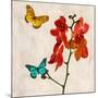 Orchids & Butterflies II-Teo Rizzardi-Mounted Art Print