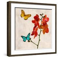 Orchids & Butterflies II-Teo Rizzardi-Framed Art Print