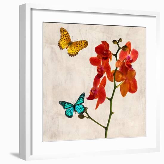 Orchids & Butterflies II-Teo Rizzardi-Framed Art Print