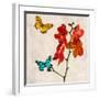 Orchids & Butterflies II-Teo Rizzardi-Framed Art Print