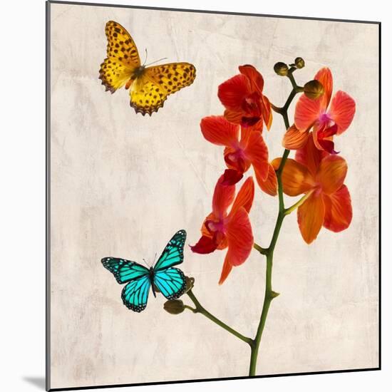 Orchids & Butterflies II-Teo Rizzardi-Mounted Art Print