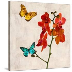 Orchids & Butterflies II-Teo Rizzardi-Stretched Canvas