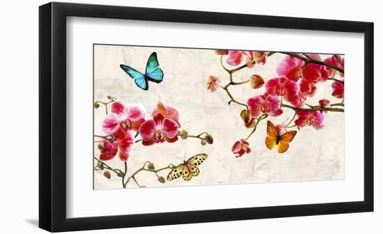 Orchids & Butterflies-Teo Rizzardi-Framed Art Print