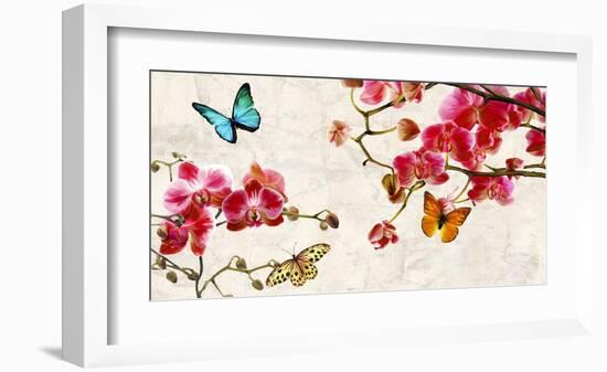 Orchids & Butterflies-Teo Rizzardi-Framed Art Print