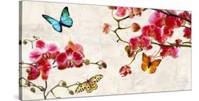 Orchids & Butterflies-Teo Rizzardi-Stretched Canvas