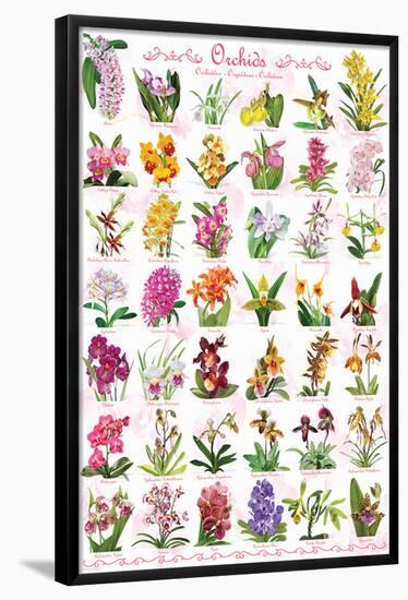 Orchids Collage-null-Framed Poster
