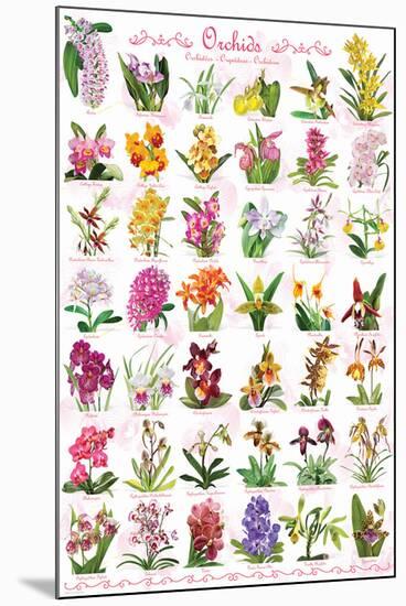 Orchids Collage-null-Mounted Poster