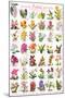 Orchids Collage-null-Mounted Poster