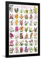 Orchids Collage-null-Framed Poster