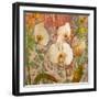 Orchids Crackle-Tania Bello-Framed Giclee Print
