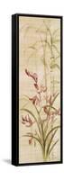 Orchids I-Cheri Blum-Framed Stretched Canvas