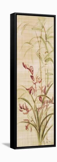 Orchids I-Cheri Blum-Framed Stretched Canvas