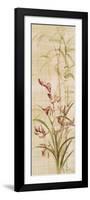 Orchids I-Cheri Blum-Framed Premium Giclee Print