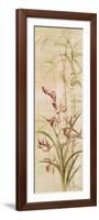 Orchids I-Cheri Blum-Framed Premium Giclee Print