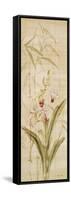 Orchids II-Cheri Blum-Framed Stretched Canvas