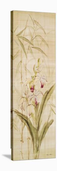 Orchids II-Cheri Blum-Stretched Canvas