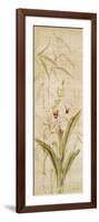 Orchids II-Cheri Blum-Framed Art Print