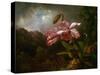 Orchids in a Jungle, 1870S (Oil on Canvas)-Martin Johnson Heade-Stretched Canvas