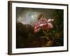 Orchids in a Jungle, 1870S (Oil on Canvas)-Martin Johnson Heade-Framed Giclee Print