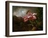 Orchids in a Jungle, 1870S (Oil on Canvas)-Martin Johnson Heade-Framed Giclee Print