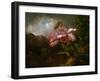 Orchids in a Jungle, 1870S (Oil on Canvas)-Martin Johnson Heade-Framed Giclee Print