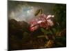 Orchids in a Jungle, 1870S (Oil on Canvas)-Martin Johnson Heade-Mounted Giclee Print