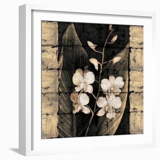 Orchids in Bloom I-John Seba-Framed Art Print