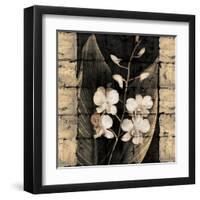 Orchids in Bloom I-John Seba-Framed Art Print