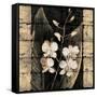 Orchids in Bloom I-John Seba-Framed Stretched Canvas