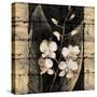 Orchids in Bloom I-John Seba-Stretched Canvas