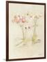 Orchids in Bloom I-Cheri Blum-Framed Art Print