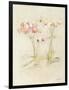 Orchids in Bloom I-Cheri Blum-Framed Art Print