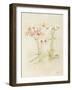 Orchids in Bloom I-Cheri Blum-Framed Art Print