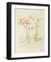 Orchids in Bloom I-Cheri Blum-Framed Art Print