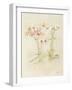 Orchids in Bloom I-Cheri Blum-Framed Art Print