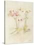 Orchids in Bloom I-Cheri Blum-Stretched Canvas