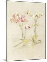 Orchids in Bloom I-Cheri Blum-Mounted Art Print