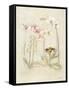 Orchids in Bloom II-Cheri Blum-Framed Stretched Canvas