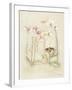 Orchids in Bloom II-Cheri Blum-Framed Art Print