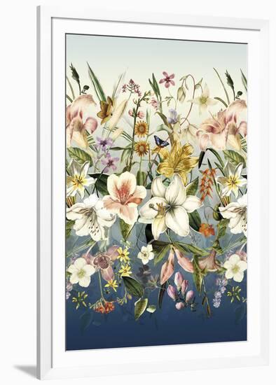 Orchids in Bloom-Stefan Jans-Framed Giclee Print