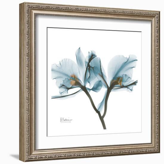 Orchids in Blue-Albert Koetsier-Framed Art Print