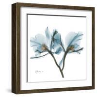 Orchids in Blue-Albert Koetsier-Framed Art Print