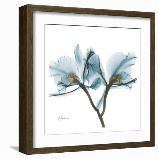 Orchids in Blue-Albert Koetsier-Framed Art Print