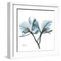 Orchids in Blue-Albert Koetsier-Framed Art Print