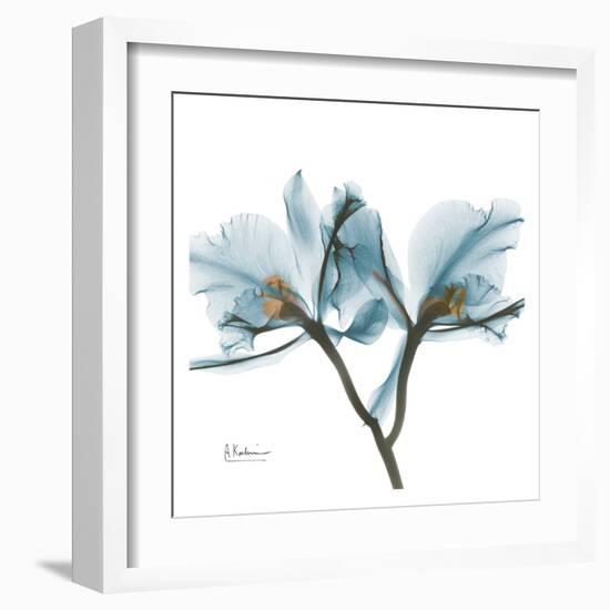 Orchids in Blue-Albert Koetsier-Framed Art Print