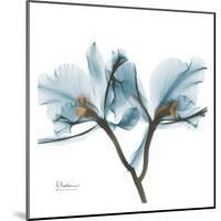 Orchids in Blue-Albert Koetsier-Mounted Print